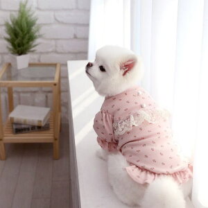 \̔yITS DOGzVersailles Puff T-shirts  hbOEFA ̕ ^ ^ TVc X[uX pi hbOObY ؍