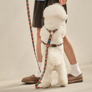 [yandblankzFLOWER LION HARNESS ؍ uh 킢  v[g ^  n[lX [h UObY NEW ^ t  v ^