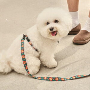 [yandblankzFLOWER LION HARNESS ؍ uh 킢  v[g ^  n[lX [h UObY NEW ^ t  v ^