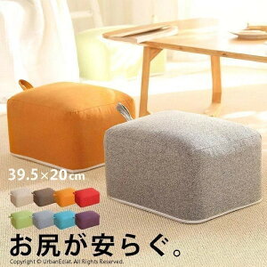 Xc[ qǂ Xc[ q̈֎q ֎q fXN[N u tbgXg tANbV x` ǂ Ɍ  zc  20cm