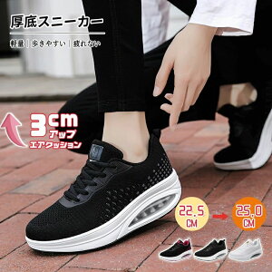 Xj[J[ fB[X ꂢ  ₷ _CGbgV[Y _CGbg Xj[J[   y b L i[XV[Y  50  40  ɂ   p D