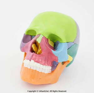 ���W�� ���W���͌^ �[�� �͌^ �{�֐� ���͌^ ���i �����\�{�֐߂��Č� 15�ɕ����\ �e���ʔz�F ���Ȏ��@�Ȋ�ȓ���