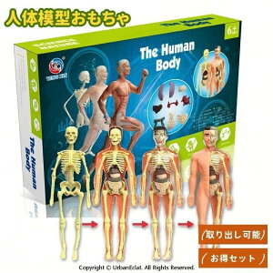 �l�̖͌^�������� ���O�� �����Z�b�g ���� �l�̉�U�w���f�� ���O���\ ���̉�U�w���f�� ��w���w�K�c�[�� ����Ȋw�L�b�g �l�̂̂����� ���� �ی��̈� ���� �m��ߋ� �l�̃p�Y�� �c