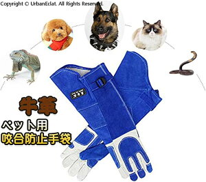 �y�b�g��������� ���v �y�b�g�p�����h�~��� �y�b�g�O���[�u �Z�[�t�e�ی��� �r�S�̕ی� �����戵 �ی��� ���a��� �L �� �w�r �I�E�� �g�J�Q ঒��� �����~���⊚�݂��h�~ ���|��