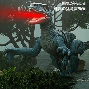 {bg | RC R - [dobe[tR 3`5΂̒j̎qAav[gƂ