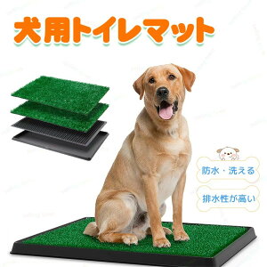 ybggC lHŃ}bg ybgpApbh pgC Ő pi tFCN lH peBI }`z[݌v |ȒP /O ɗD K[fjO ybgpgC