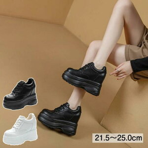  Xj[J[ 10cm gup Xb| fB[X Cq[Xj[J[ EH[LO q[Abv C V[Y _CGbgXj[J[ PUU[ JWA  ₷ NbV n