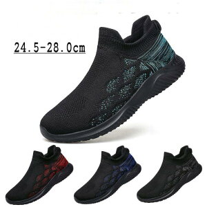 Xj[J[ Y EH[LOV[Y  RȂ jOV[Y X|[cV[Y Xb|  WMO ʋC y ^C ₷ ɂ ~  s ʊw 