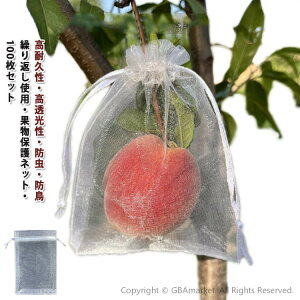 hlbg ʎ 񂲑 ʕlbg 100 ʕ 悯lbg悯lbg یlbg ʕیobO | lbg Ԃǂ ʎphlbg Ԃǂ В C`S J