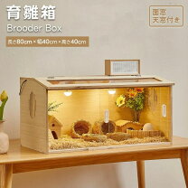 楽天市場】ハリネズミ ケージ 木製の通販