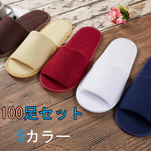 100Zbg ĝăXbp ze p  t[TCY 29cm 11cm n܂ތ6mm pCƖp wZs zeA}bT[WXA@As ^Cv  n