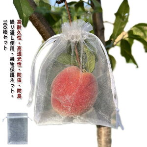 hlbg ʎ 񂲑 ʕlbg 100 ʕ 悯lbg悯lbg یlbg ʕیobO | lbg Ԃǂ ʎphlbg Ԃǂ В C`S J