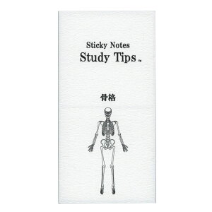 ���G�ʁXSticky Note Study Tips �ӂ���y���i�z �t� FS-SST006