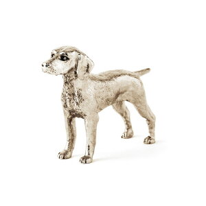 rY CMX A[g hbO tBMA RNV