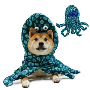 蕨 ^Rɕϐg hbOEGA ybgRXv p L RX`[ nEB ʔ Xq  킢  ^  L ϐgObY p[eB[ U lCr[ o| yb