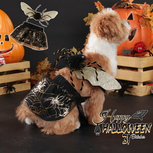 nEB  L lR RX`[ _炩 킢 ̕ nEB[ cosplay  ϑ ߑ ybgpXJ[g s[X U o  ʐ^ Be ȒP ւ