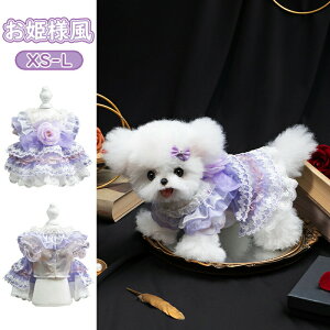  ybg  xxbgs[X s[X Lp [^ ^ e efB ViEU[ |jA vZXhX H~p h ۉ g  t GKg 