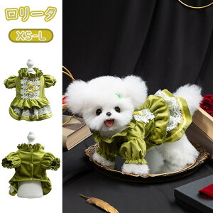 ybg xxbgs[X s[X p Lp  [^ efB ViEU[ |jA e H~p h ۉ g  t GKg ґ tH[} p[eB[ 