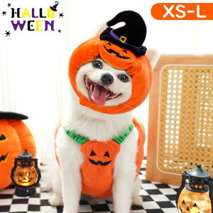 nEB RXv   ڂ ڂᕿ RX`[  L ^ hbOEFA J{` ybg ybg   ^ ϐg ߑ L pvL Cxg RXvߑ