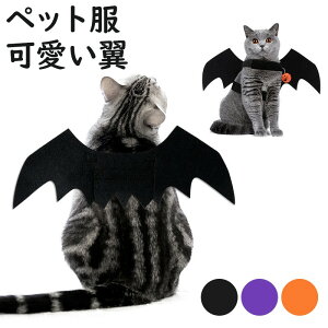 nEB nEBߑ RXv RX`[ ybg ^̌p pRX`[ L Lpߑ   RE H ʐ^ Be p[eB[ ybgp[eB[ 