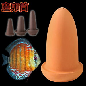 Y Y  _J  Y Yp   ɐB UKj B B C t B vR y _JC VF^[ ی  yǉBƃVF^[ ώ@ Mы R