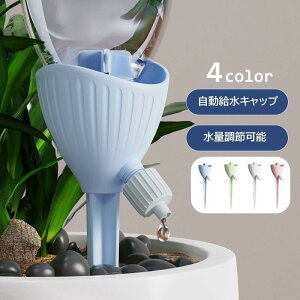 Lbv  U ybg{gΉ ʒ߉\ K[fjOpi ؂΍ | ϗtA ƒ؉ s o 