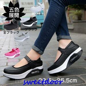 fB[X i[XV[Y   Xj[J[  _CGbgV[Y Ōt ʋC GA[NbVt wlC y