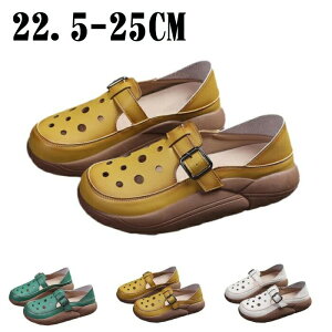 JWAV[Y  fB[X 5cm Od lԍHw JWAV[Y T_ yʐ݌v ~ r ʋCK L ʋC t  EH[LOV[Y T_ Xj[