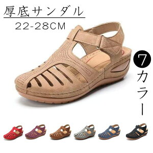 JWAV[Y  T_ fB[X 4.5cm Od lԍHw T_ yʐ݌v ~ r ʋCK L ʋC t  芴 [q[ wlC ɂ  