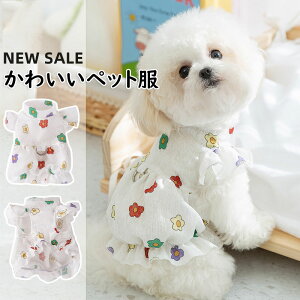 yzp t  ybgs[X vZX L  ybg tG  ċG Ls[X ybg tĕ ԃs[X p t Ltĕ ԕ vZ