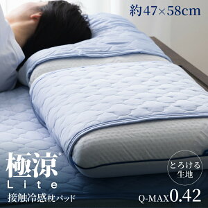 yyVLO1ʊluhIz pbh ⊴ ⊴pbh Jo[ RۖhL 傫TCY 47×58cm 􂦂 ېOK EHbVu Ђ ڐG⊴ ⊴Jo[  z