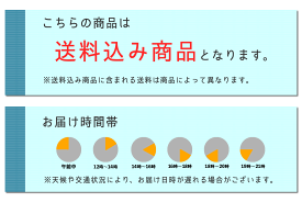 ZAMPA ザンパ ゴム地サイドリブラインワイドパンツ (49-0321) レディース パンツ おしゃれ アーベン 送料込み 普段使い 実用的 2024年