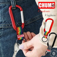 チャムス キーホルダー Chums カラビナ キーチェーン ( ch61-1175 ) Carabiner Keychain 雑貨 アクセサリ…