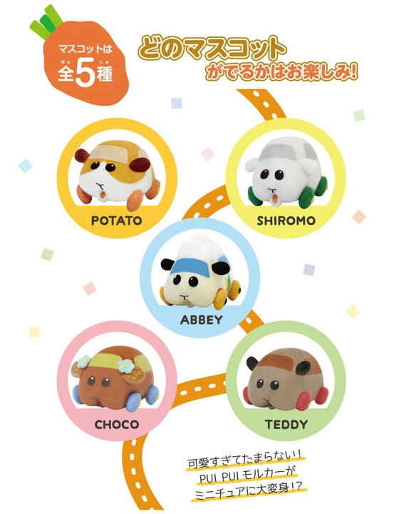 ピッカピッカウォッシュ 