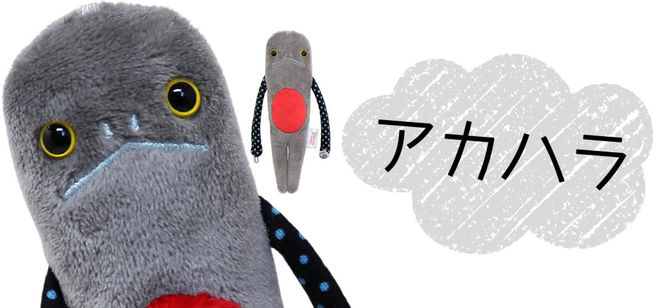 アカハラ 