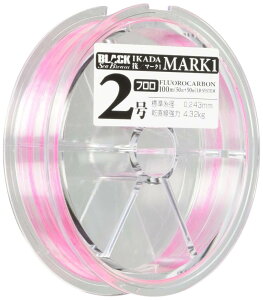 CVXe(Line System) ubNV[u [  }[N1 100m #2