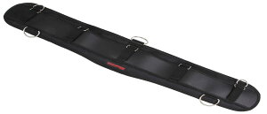 SK11 GA[tBbgT|[gxg ̃GA[NbV |GXe SFS-AIR-ST-BK 800mm ubN Dt