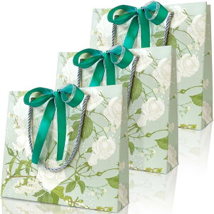 PARTNERR v[g  bsO MtgobO   TCYi22×25×8cmj킢  3 ԕ {2Ft a o ̓ o^C N  X } X (Quiet Time(