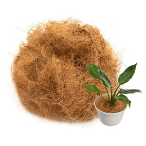 AXg RRVt@Co[ 100g RRt@Co[ }`O yB RRV@ Α 624-02 RRVt@Co[ 100g CguEn