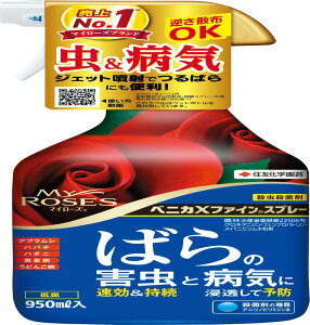 y}\Gg[Ń|Cg10{zZFw| EEۍ xjJXt@CX v  [ 950ml o KN  aC