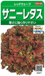 TJ^̃^l 3671 Tj[^X bhEF[u 00923671