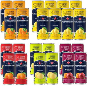 Sanpellegrino (TyOm) C^AXp[NOhN 5ރA\[g 330ml×24{ iY_ C^AYj