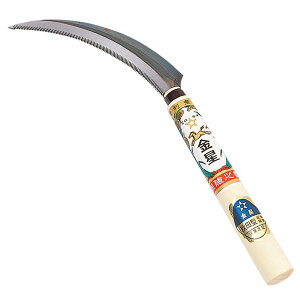 L{V(Kinboshi) Hc^(ז)t 140407