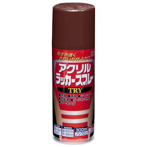 jby yL X v  [ ANbJ[X v  [ TRY 300ml `  R  [ g bJ[ ₠ O { 4976124253775