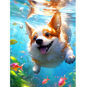 Fluid dragon _ChA[g 5D UCNA[g _CAhr[YGLbg DIYEG|Lbg _Chh Sʓ\t^Cv |Lbg(180)