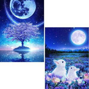 2_ChA[g Lbg BetterJonny 5D _Ch LbgA[g _ChyCe_Chh ƃETM G|Lbg Sʓ\t^Cv DIY |LbgS 