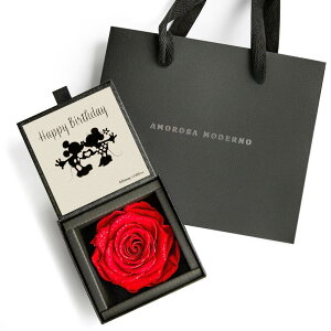 AMOROSA A[T vU[uht   [ _Ch[Y{bNX85 f B Y j [ Happy Birthday Vbp[t uCgbh o Mtg  a  LO v|[Y hCt 