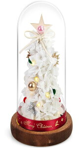 SENJWARM N  X } Xc[  vU[uht   [ ͂Ȃ KXh[ dr LEDCg N  X } X  킢 ͋CX Mtg N  X } Xv[g 