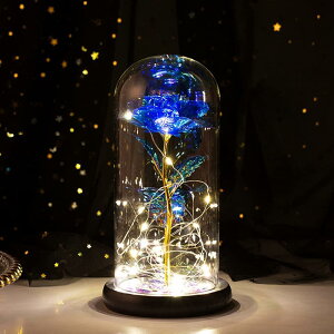 o  Lechin 24KS[h[Y ͂Ȃ bL[Y LEDCgtdr KN ԑ v[g o^Cf[ ̓ a LO N  X } X VN ސE jɓKp 