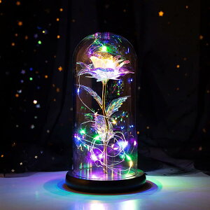 o  Lechin 24KS[h[Y ͂Ȃ bL[Y LEDCgtdr KN ԑ v[g o^Cf[ ̓ a LO N  X } X VN ސE jɓKp 